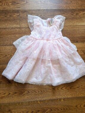 Universal Wicked Girls Pink Iridescent Tulle Dress Size 4T NWT